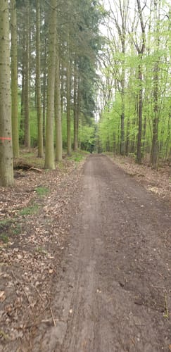 Seenrundweg Waldsieversdorf