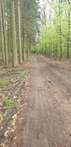 Seenrundweg Waldsieversdorf