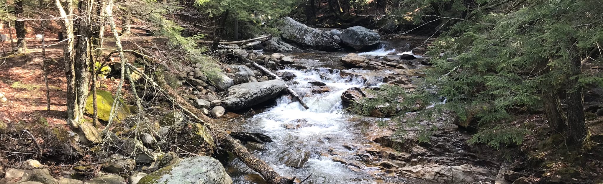 Rattlesnake Cliffs Trail, Vermont 57 Reviews, Map AllTrails