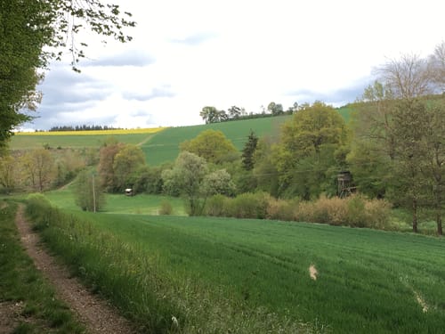 Kastell Zugmantel ab Idstein (MTB)