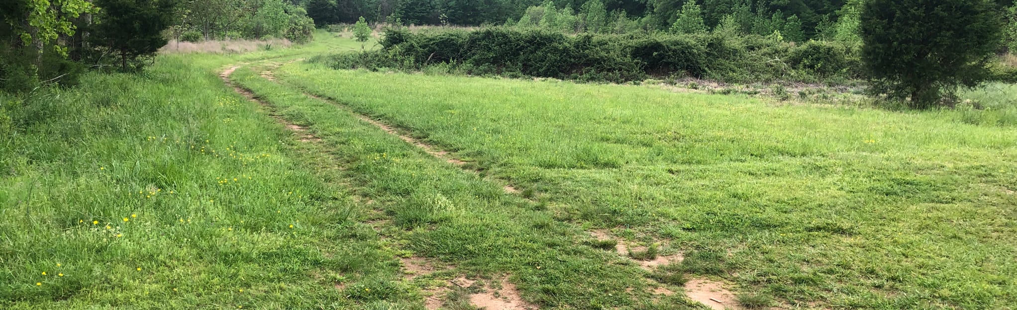 Great Blue Heron Loop Trail 455 Reviews, Map North Carolina AllTrails