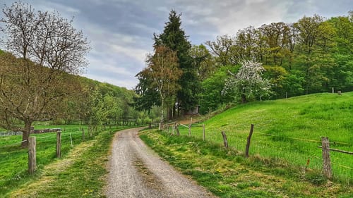 Hofgeismar - Carlsdorf - Hombressen - Schöneberg