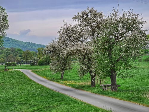 Rund um Hofgeismar