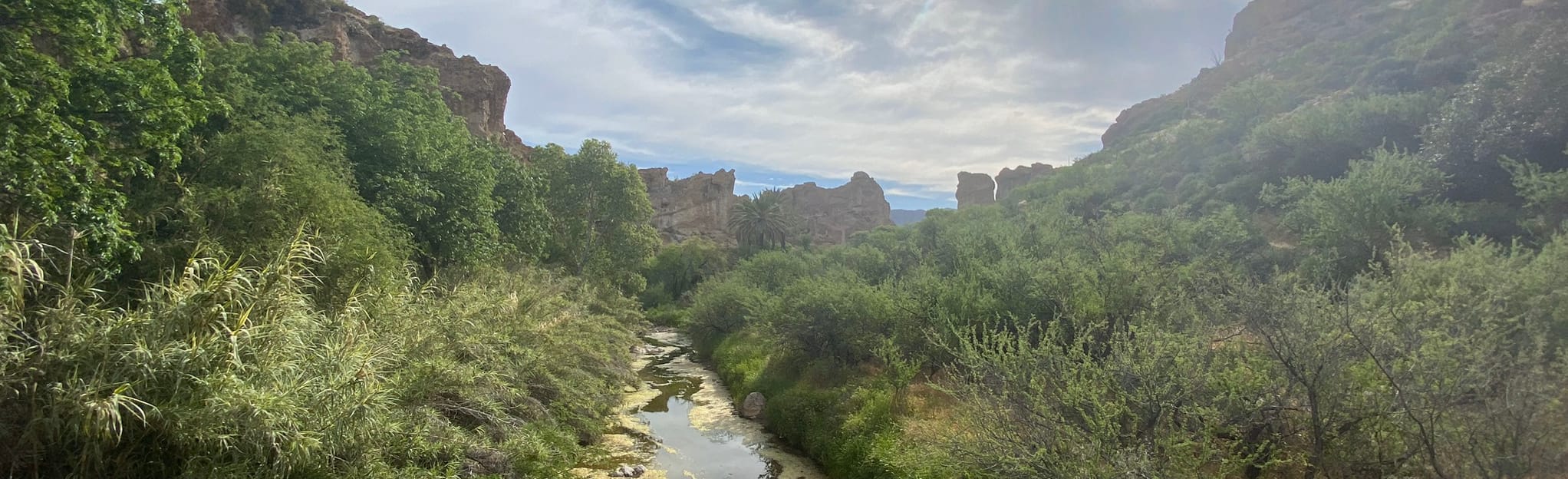 Boyce Thompson Arboretum Main Trail to High Trail Loop 1 Reviews, Map