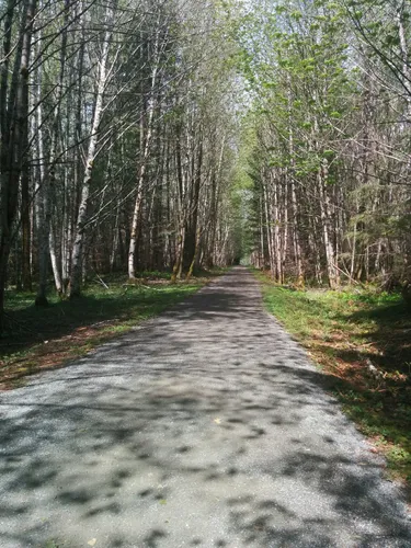 2023 Best Trail Running Trails In Duncan AllTrails