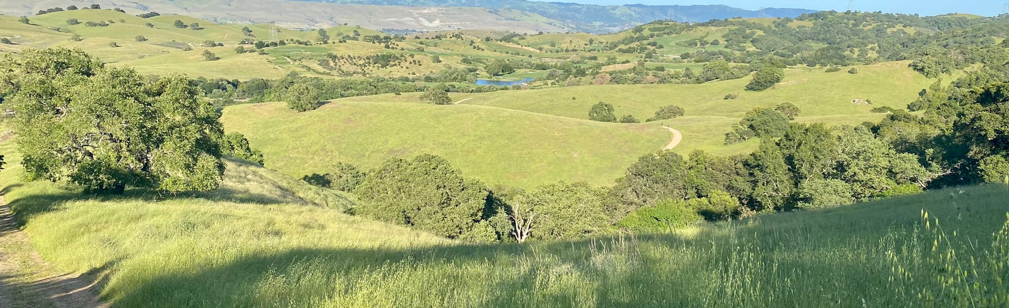 Los Cerritos, Pena, Figueroa and Valecito Loop California AllTrails