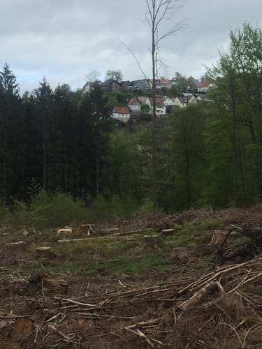 Rundwanderweg Büren-Harth