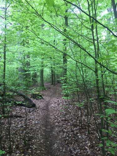 Rundwanderweg Büren-Harth