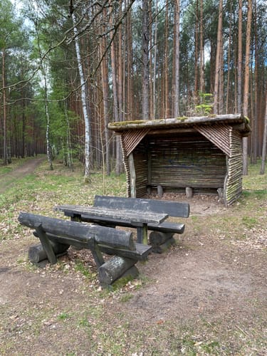 Rundweg bei Beelitz-Heilstätten