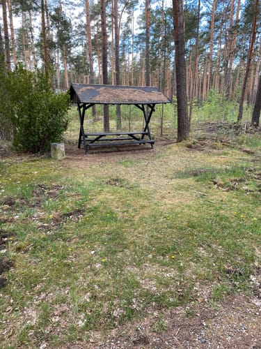 Rundweg bei Beelitz-Heilstätten