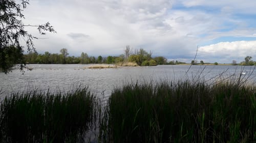 Rund um die Haselbacher Teiche