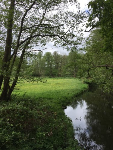 Nettetal Hinsbeck Weg 3