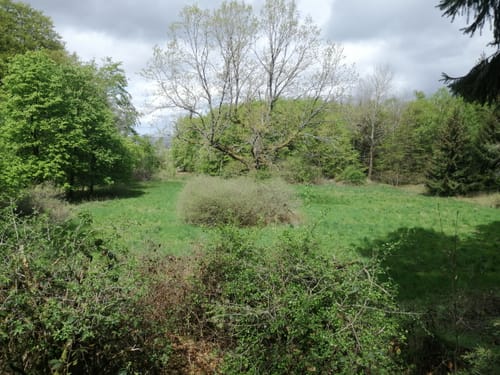 Rund um die Steinberge 