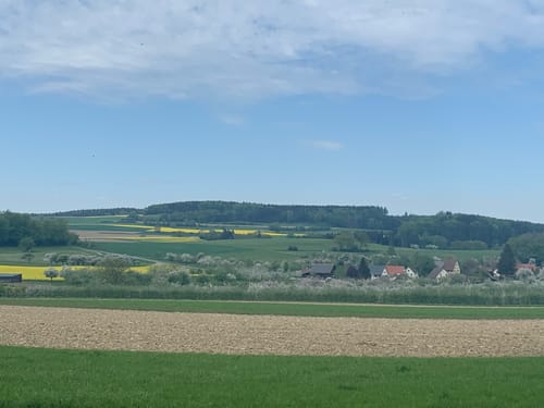 Um Ebenweiler und Oberholz