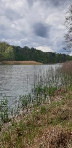Rund um den Blumenthalsee