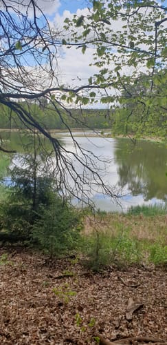 Rund um den Blumenthalsee