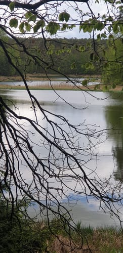 Rund um den Blumenthalsee