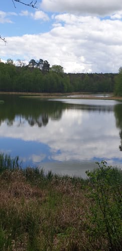 Rund um den Blumenthalsee