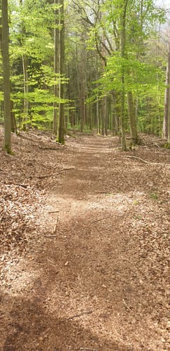 Rund um den Blumenthalsee