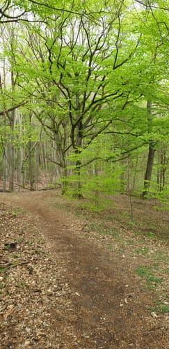 Rund um den Blumenthalsee