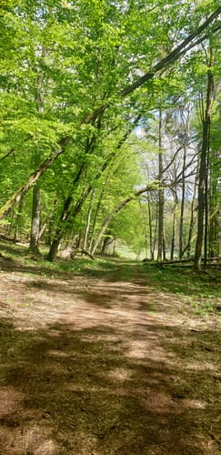 Rund um den Blumenthalsee