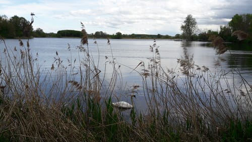 Rund um die Haselbacher Teiche