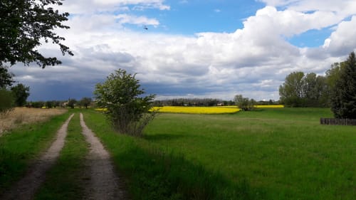 Rund um die Haselbacher Teiche