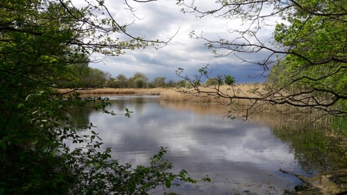 Rund um die Haselbacher Teiche