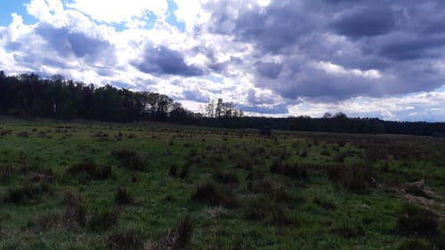 An der Schnellen Havel