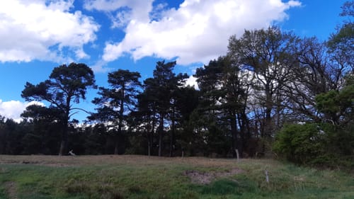 An der Schnellen Havel