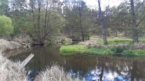An der Schnellen Havel