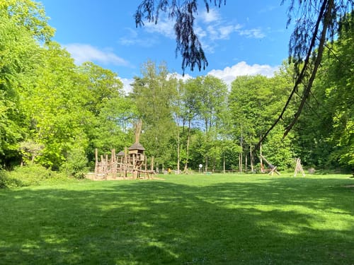 Trail Run Grafenberger Wald