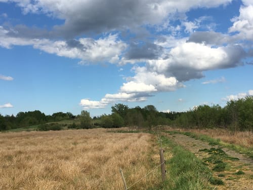 An der Spreeaue bei Dissen