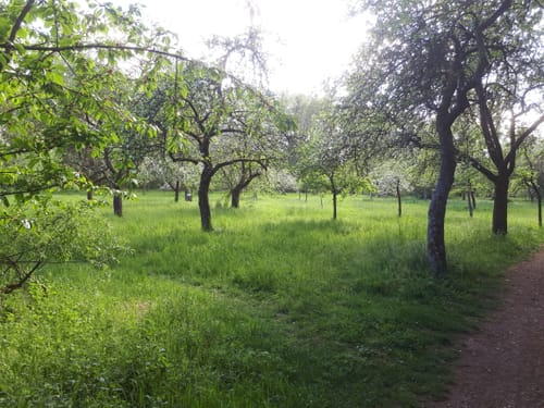 Mühlengraben und Eder ab Fritzlar