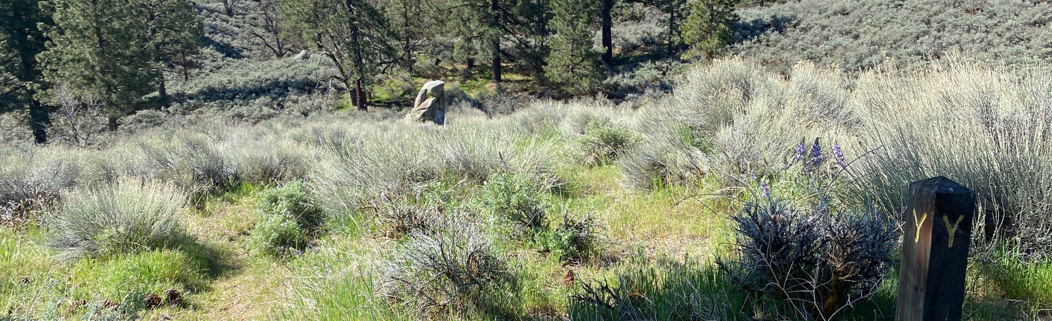 High Country and Quail Ridge Trail [PRIVATE PROPERTY], California 11