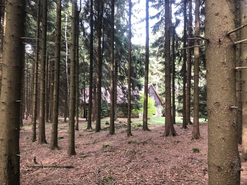 Bayern-Böhmen-Runde 2