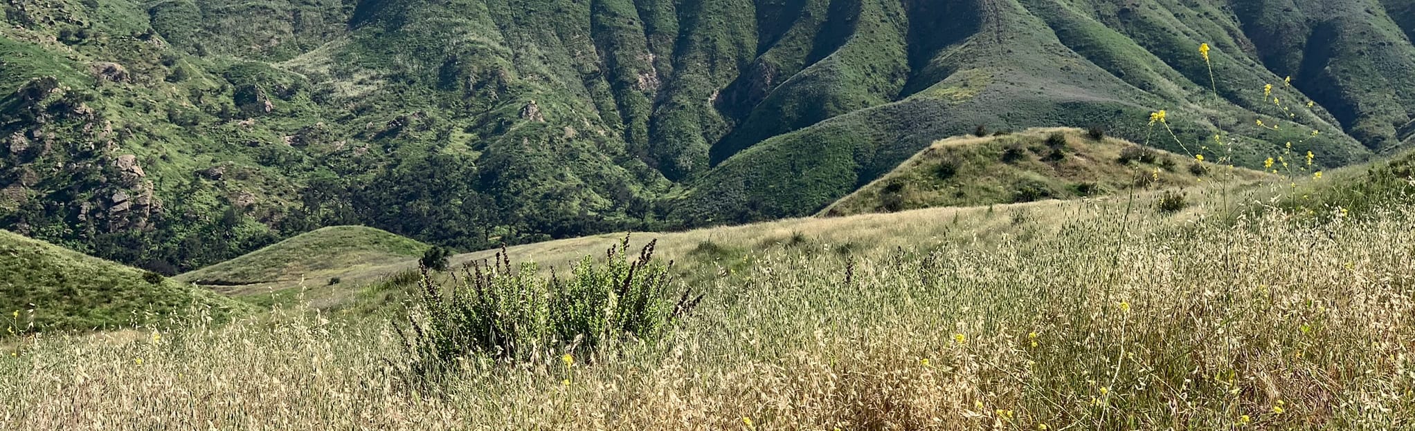 Autumn Ridge to Woodridge Connector to Lang Ranch Ridge 1.937 fotos