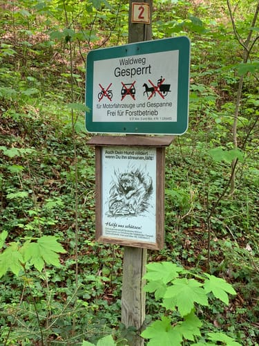 Hohe Brach Wanderung