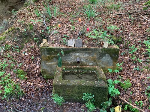 Hohe Brach Wanderung