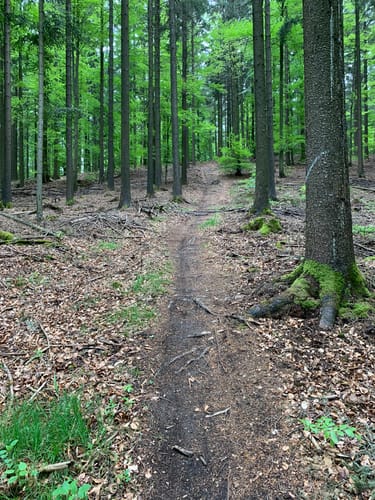 Hohe Brach Wanderung