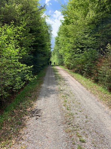 Hohe Brach Wanderung