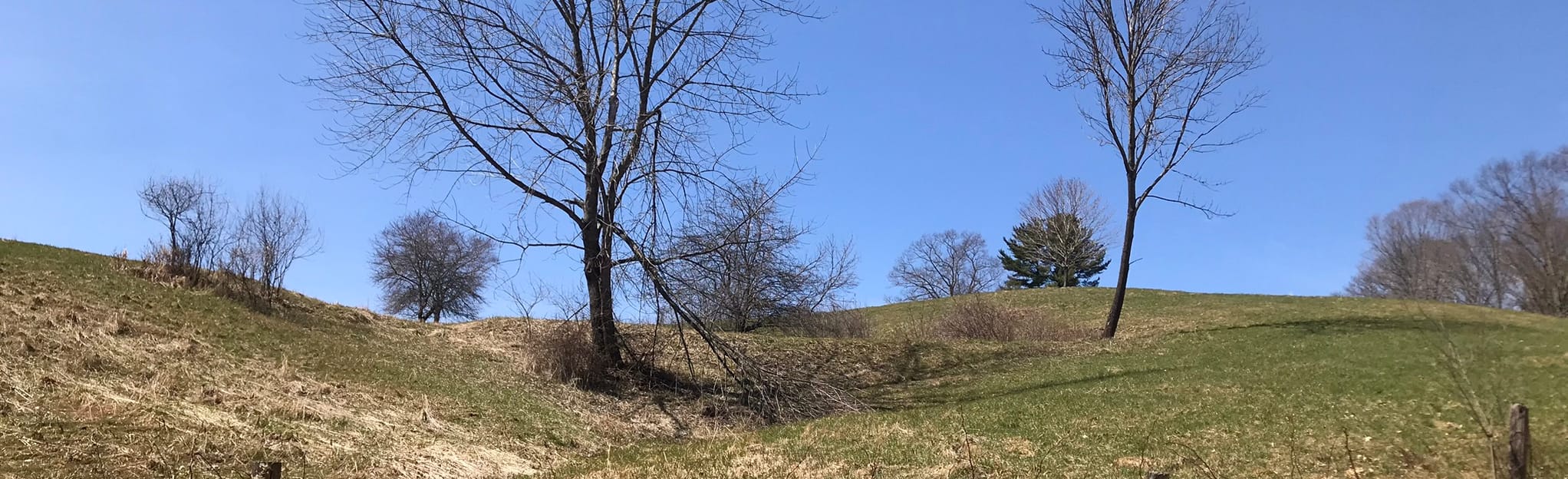 Elm Street to Happy Hill Shelter via Appalachian Trail Map, Guide