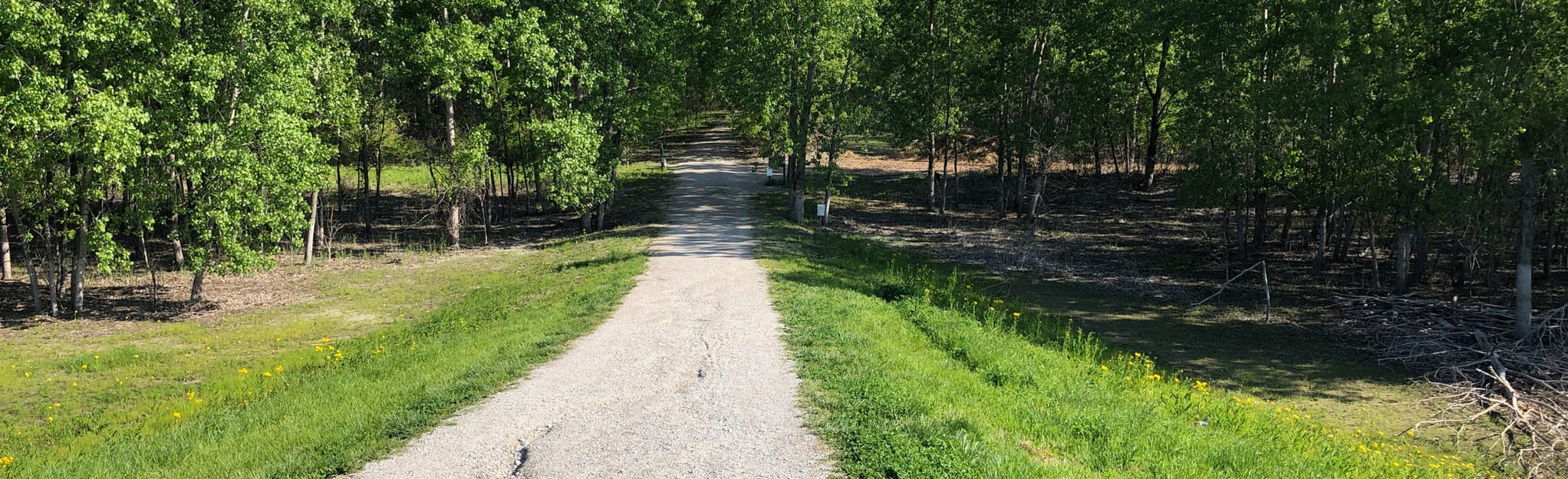monarch-chesterfield-levee-trail-missouri-444-reviews-map-alltrails