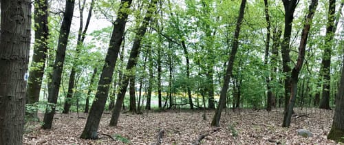 4-Seen-Runde ab Fresdorf