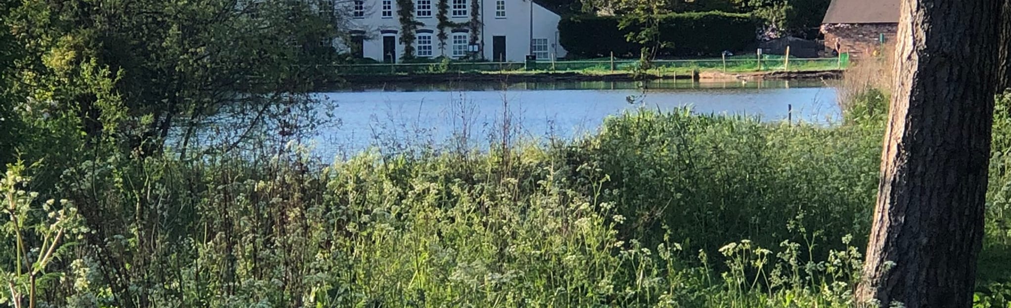 Madeley and Whitmore Wood, Cheshire, England 20 Reviews, Map AllTrails