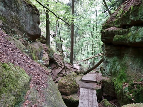 Brombachsee 25: Hopfenwanderung