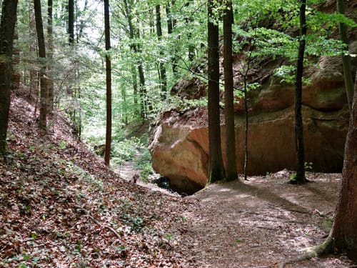 Brombachsee 25: Hopfenwanderung
