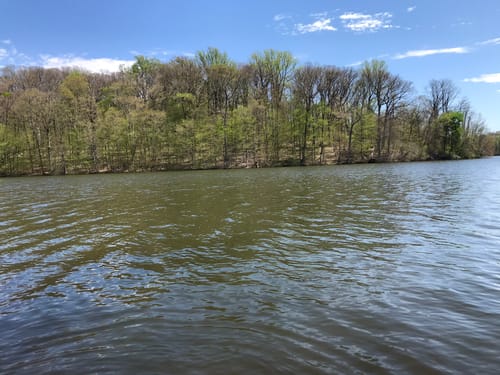 10 Best hikes and trails in Marsh Creek State Park AllTrails