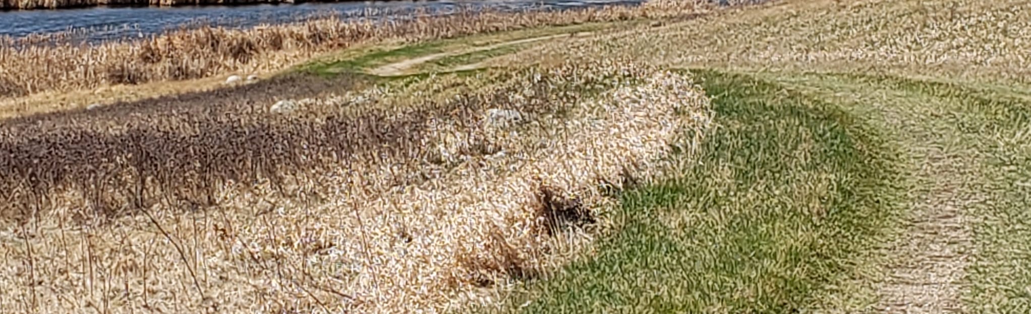 Des Lacs National Wildlife Refuge, North Dakota 11 Reviews, Map