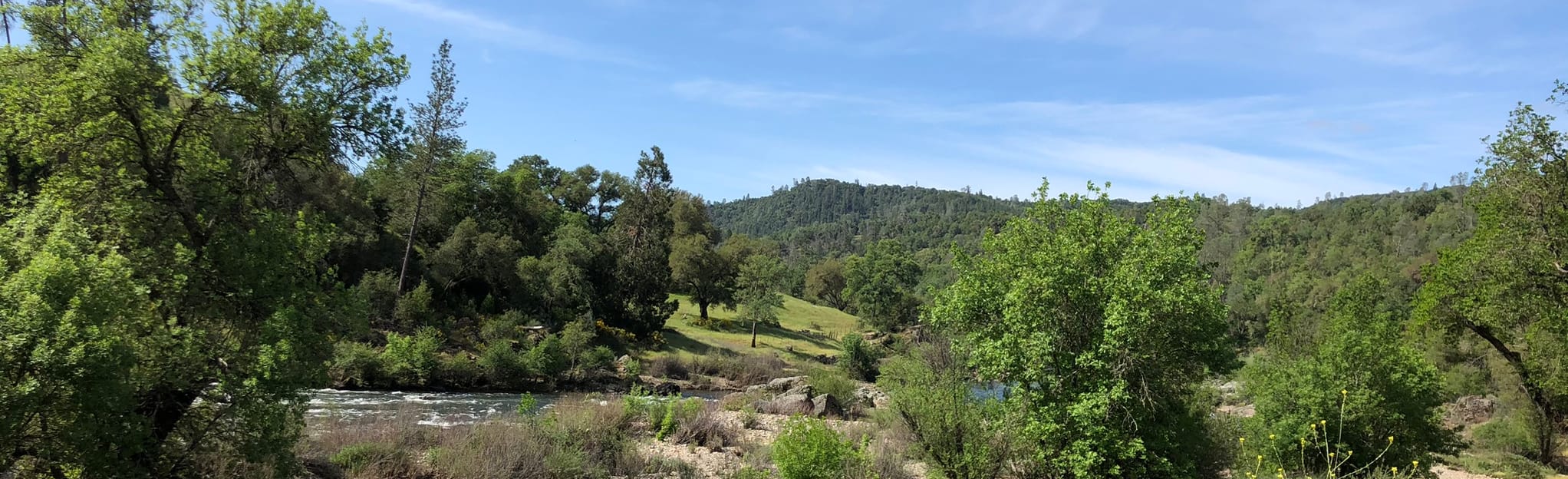 Down and Up Trail Loop, California - 632 Reviews, Map | AllTrails